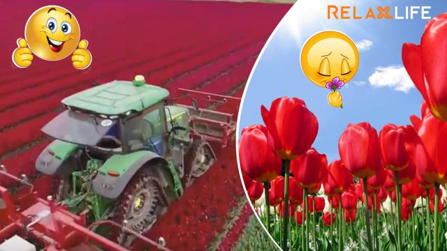 Những máy nông nghiệp hiện đại này bao giờ mới phổ biến ở Việt Nam 