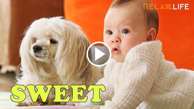 How sweet moment of the baby and dog are