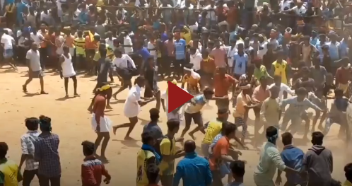 Bò tót điên cuồng húc người tại lễ hội ở Ấn Độ 