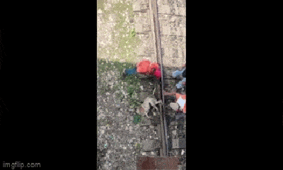 Video: Nghẹt thở giây phút giải cứu chú chó bị kẹt chân vào đường ray khi tàu hỏa đang đến